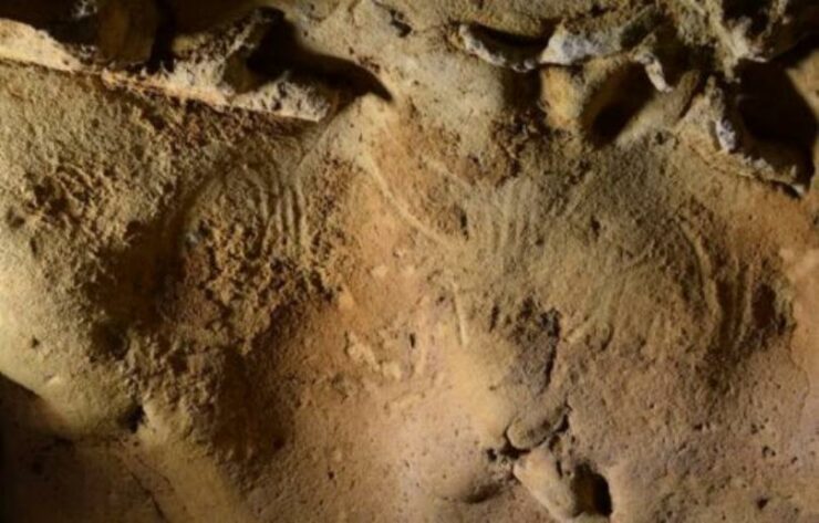 In France’s Loire Valley, Neanderthal engravings from 57,000 years ago were discovered.